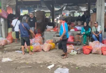 Serapan Industri Normal Picu Kenaikan Harga Cabai