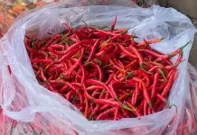 Kondisi Pasar Sepi Harga Cabai di Kediri Turun