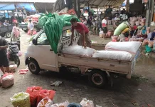 Pengiriman Lancar Harga Cabai Rawit di Kediri Turun