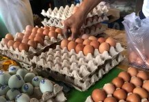 Harga Telur Ayam Turun Pascaleberan, Daya Beli Mulai Pulih