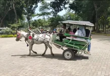 Libur Lebaran Kunjungan Candi Tegowangi Sekitar 1.000 Orang