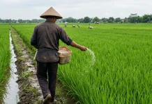 Disperta Pastikan Penyaluran Pupuk Subsidi 2026 di Jombang Tepat Sasaran