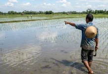Curah Hujan Tinggi, Afvoer Watudakon Kembali Sebabkan Banjir di Jombang