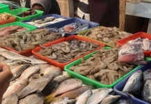 Cuaca Buruk Picu Kenaikan Harga Ikan Laut di Jombang