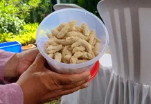 Jajanan Manis Legendaris ‘Telek Kucing’ Masih Eksis