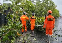 13 Titik di Kota Kediri Terdampak Hujan Angin