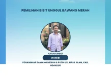 Rahasia Bibit Unggul Bawang Merah Petani Nganjuk
