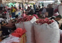 Serapan Industri Normal Harga Grosir Cabai di Kediri Stabil