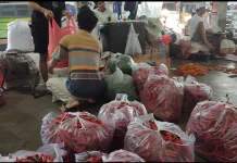 Pasokan Bertambah 3 Ton Harga Cabai Rawit Turun di Kediri