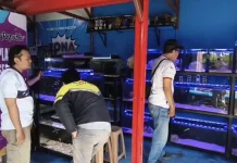 Warga Inginkan Pasar Ikan Hias SLG jadi Ikon Wisata Baru