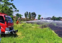 BPBD Jombang Siaga Hadapi Potensi Karhutla