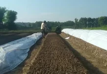 Menjelang Kemarau, Petani Tembakau di Jombang Mulai Tabur Benih