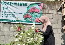 Rawat Ibu Pengidap Tumor Otak, Atlet Kriket Kediri Jualan Mawar Demi Kuliah