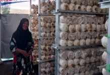 Dari Kediri ke IKN dan Hong Kong, Siti Fatimah Kembangkan Usaha Jamur Crispy