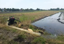 Hadapi Kemarau, Distribusi Air Irigasi di Jombang Diatur Ulang