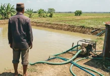 Ancaman Kekeringan, Petani Jombang Siapkan Embung