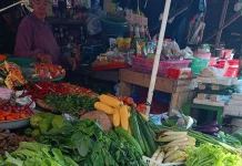 Peralihan Musim Picu Fluktuasi Harga Sayuran di Jombang