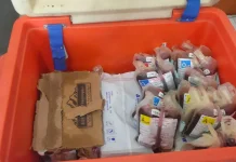 PMI Kabupaten Kediri Miliki Stok Darah Sebanyak 615 Kantong