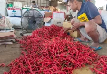 Harga Cabai Besar di Kediri Naik Rp2.000