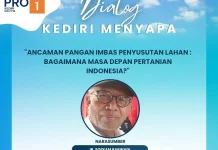Lahan Pertanian Kian Menyusut, Pengamat: Ketahanan Pangan Indonesia Bisa Terancam