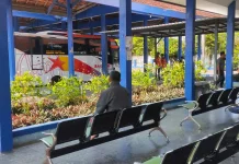 Libur Kenaikan Isa Almasih Terjadi Peningkatan Penumpang di Terminal Pare