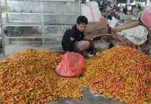 Harga Cabai di Kediri Stabil, Tertinggi Rp78.000 Per Kilogram