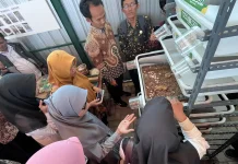 Maggot Jadi Alternatif Kurangi Sampah Sisa MBG di Sekolah