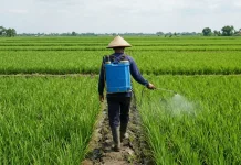 Jombang Dorong Penggunaan Pupuk Organik di Sektor Pangan