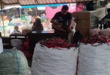 Serapan Libur Harga Cabai Keriting di Kediri Naik