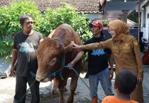 Pemkot Kediri Salurkan 25 Hewan Kurban