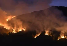 BMKG Prediksi Puncak Kemarau Terjadi pada Agustus