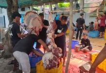 Kesadaran Berkurban Meningkat, Masjid Al-Ikhlash Ngadiluwih Sembelih 13 Sapi