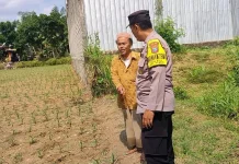 Polisi Kediri Turun Sawah Dampingi Petani Jaga Pangan