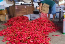 Harga Aneka Cabai di Kediri Naik Tertinggi Mencapai Rp83.000