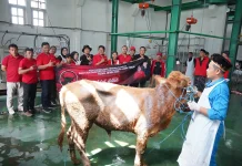 RPH Pelem Pare Terima Hewan Kurban untuk Warga Desil 5 ke bawah