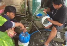 Penghijauan Desa di Jombang Diperkuat dengan Penanaman Pohon Tabebuya