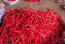 Harga Bawang dan Cabai di Takengon Naik Tajam, Gula Pasir Tebu Ikut Melonjak