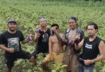 Membangun Pangan Tangguh di Hari Keamanan Pangan Sedunia