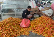 Serapan Pasar Sepi Aneka Cabai di Kediri Turun Harga