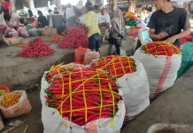 Harga Cabai Merah Besar di Kediri Turun Rp4.000