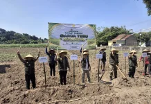Kementan Perkuat Swasembada Gula Nasional dengan Penyediaan Benih Unggul