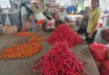 Harga Aneka Cabai di Kediri Mengalami Penurunan jelang 1 Suro