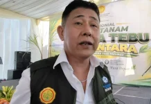 Sokong Swasembada Gula, Kediri Kembangkan Tebu Panjalu