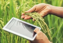 Regenerasi Petani Jadi Kunci Pertanian Modern Indonesia