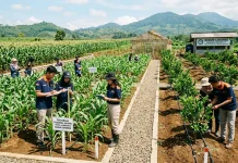 Sistem Agribisnis Terpadu Jadi Kunci Utama Hilirisasi Pertanian Sukses