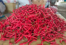 Kondisi Pasar Sepi Harga Aneka Cabai Alami Penurunan