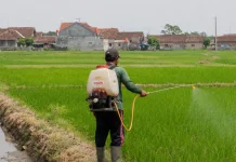 Petani di Jombang Diajak Perkuat Pengendalian Hama