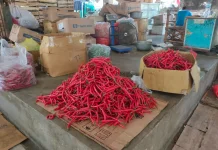 Harga Cabai di Kediri Stabil, Pengiriman ke Kalimantan Capai 3 Ton