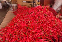 Kondisi Pasar Sepi, Harga Aneka Cabai di Kediri Turun
