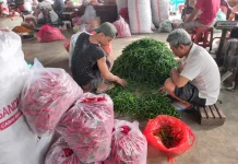 Harga Cabai di Kediri Stabil, Pasokan Bertambah dari Blitar dan Jember